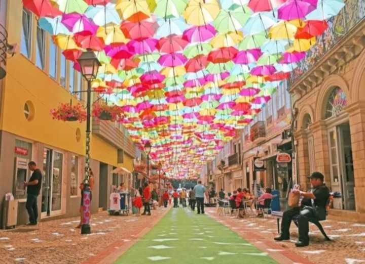 Currais O Pequeno Paraiso Entre O Mar E A Serra Aveiro Bagian luar foto